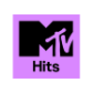 MTV Hits